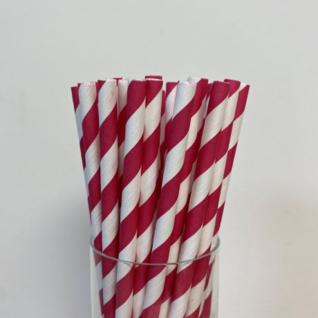 Fuchsia Pink Paper Straw 6mm x 200mm