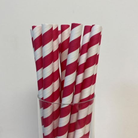 Fuchsia Pink and White Stripe Medium Paper Drinking Straw 200 x 8mm 