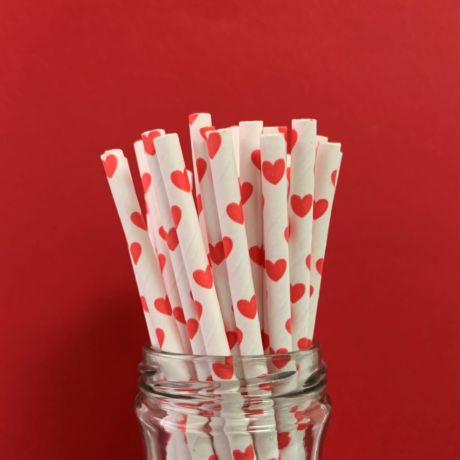 Red Heart Paper Straw 6mm x 200mm