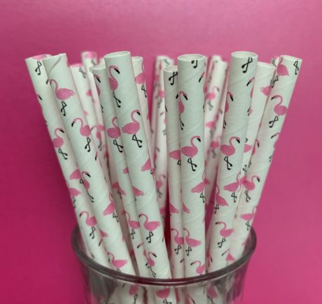 Summer Straws 8mm x 200mm  - Box of 20 Straws