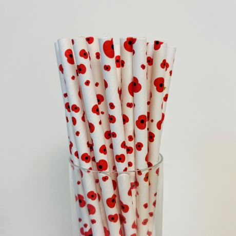 Poppy Paper Straws 6mm x 200mm Wholesale 