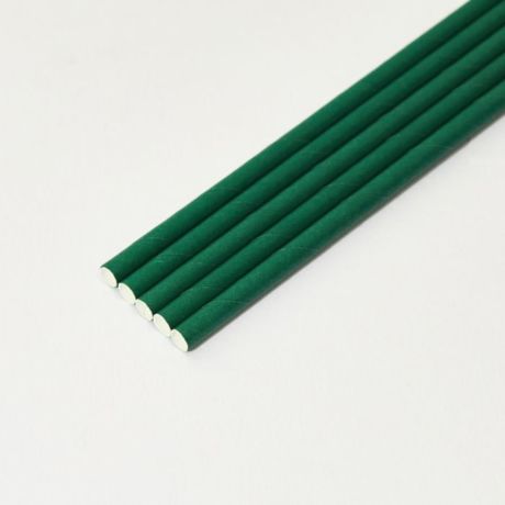 Eco Green Medium Paper Drinking Straw 200x8mm - At Home and Party Use