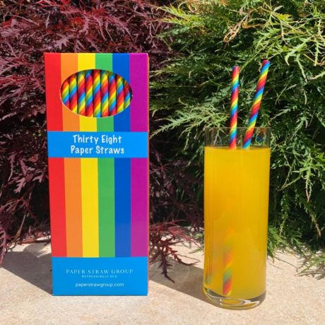 Rainbow Paper Drinking Straws - Box of 38 Eco Straws