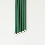 Eco Green Narrow Paper Drinking Straw 200x6mm - Wholesale