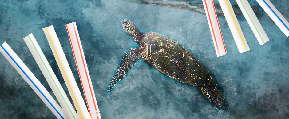 Why are Plastic Straws so Damaging to the Marine Environment? - Paper Straw Group Why are Plastic Straws so Damaging to the Marine Environment? - Paper Straw Group